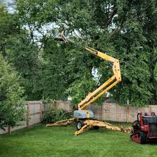 Best Lawn Mowing  in Terville, WA
